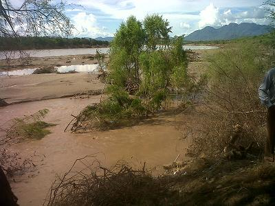 CAMBIA LA FISONOMÍA DEL BALSAS A LOLARGO DEL CRUCE POR TIERRA CALIENTE TRAS DILUVIO