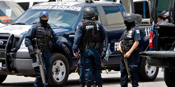 Decomisa Policía Federal más de una tonelada de mariguana en Michoacán